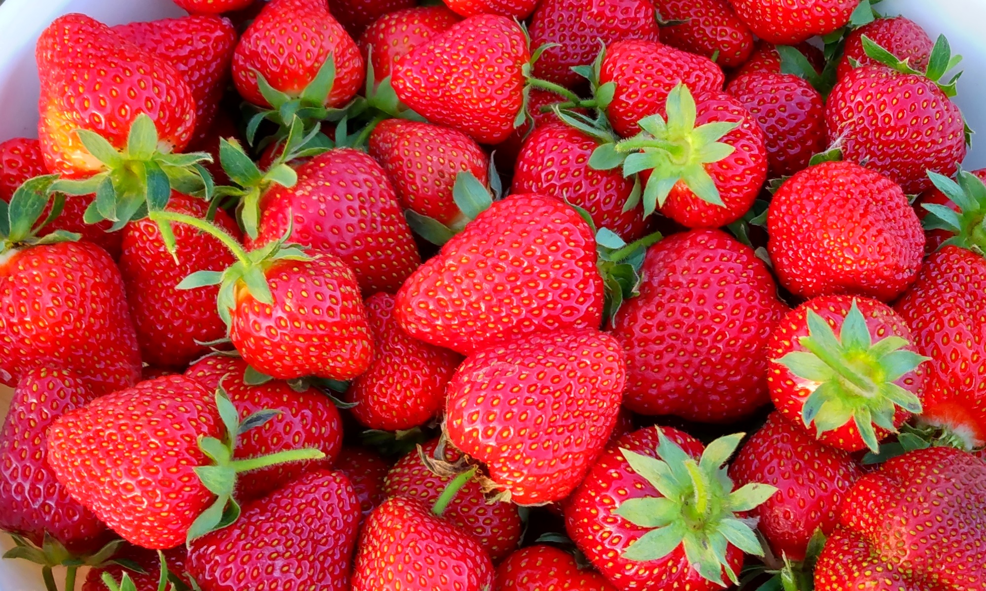 Strawberries